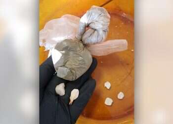 TikTok of illegal hunting leads police to heroin factory