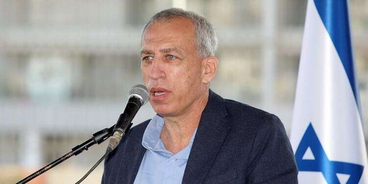 Coronavirus chief Nachman Ash 'I won't hesitate to recommend a 3rd lockdown'