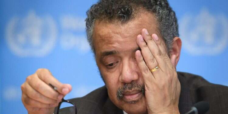 World Health Organization Director General Tedros Adhanom Ghebreyesus attends a daily press briefing on COVID-19 in Geneva WHO coronavirus meeting descends into Israel-bashing session