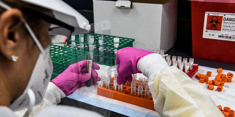 'COVID vaccines could cut death rate by 70%,' health official says