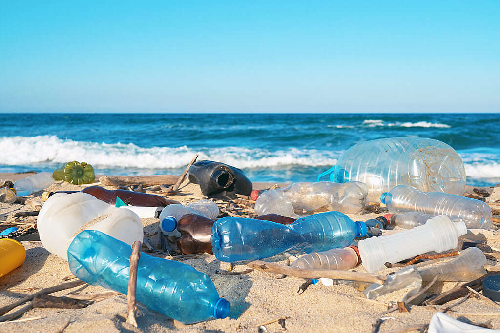Bacteria: The secret weapon in the war on plastic pollution