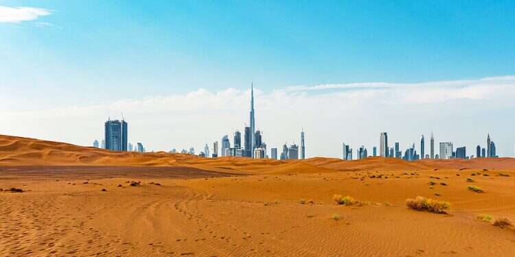 The IMF predicts the UAE's economy will shrink by 6.6% this year United Arab Emirates slashes budget for 202