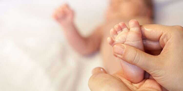 Only 3.5% of babies born to COVID-positive mothers contract virus