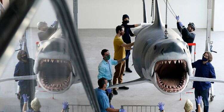 Last 'Jaws' shark docks at Academy Museum