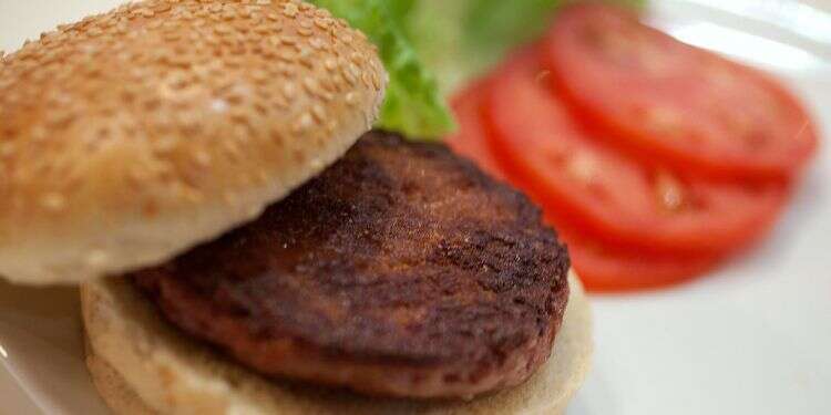 The world's first lab-grown beef burger is seen after it was cooked at a launch event in London in 2013 Israel's Meat-Tech 3D raises $7 million