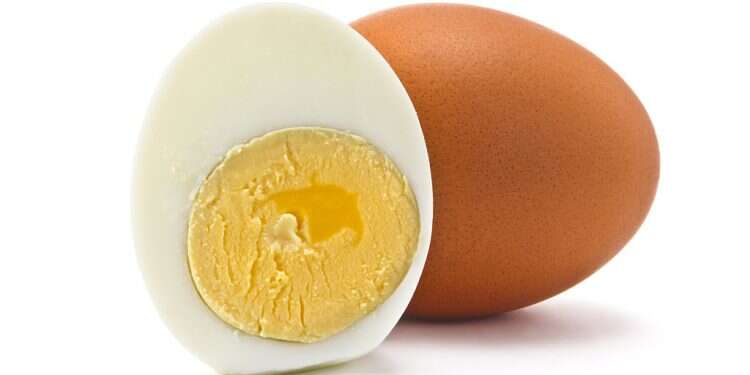 Israel's Zero Egg food tech startup raises $5M in Series A round