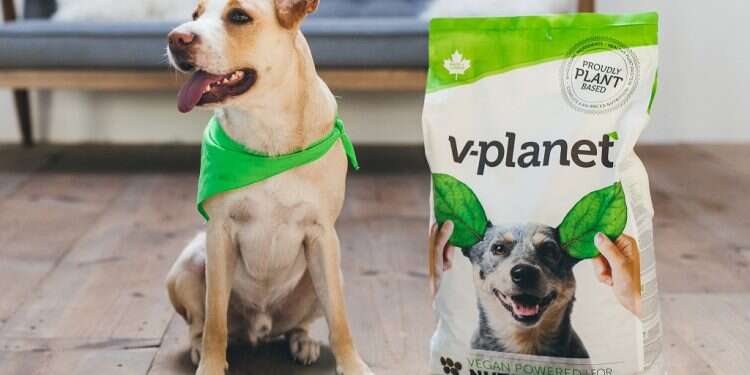 V-planet's vegan doggie kibble comes in two sizes for large and small dogs Vegan doggie kibble now available in Asia
