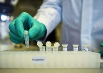 Giant virus twice the size of coronavirus discovered in Finland