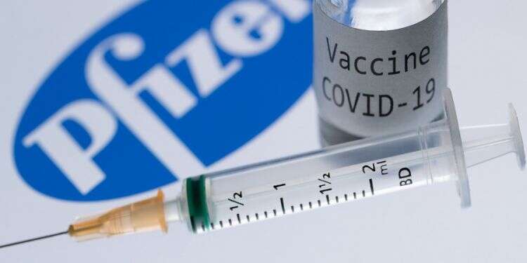 First delivery of Pfizer corona vaccines arrives in Israel