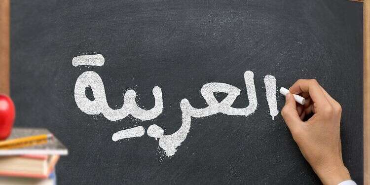 MK submits bill to promote Arabic language studies in Israeli schools