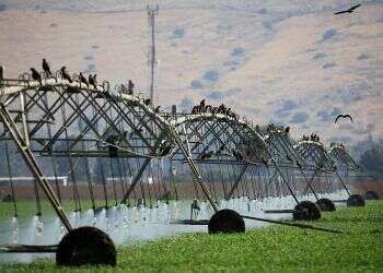 Israel, India pursue joint water, irrigation ventures