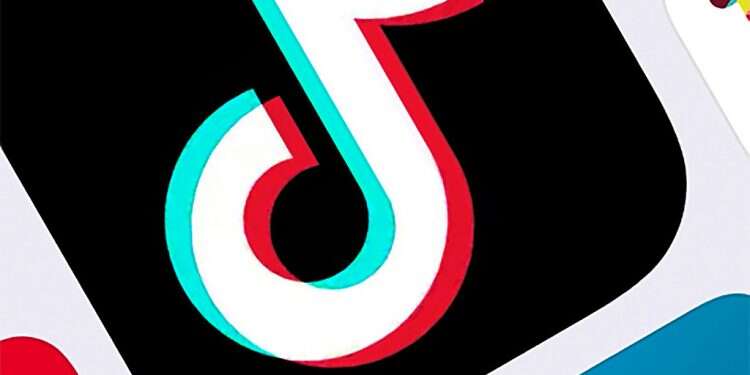 Netanyahu unveils TikTok account, promotes COVID-19 vaccine