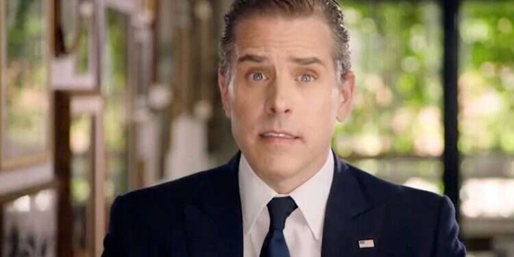 Hunter Biden tax probe examining Chinese business dealings