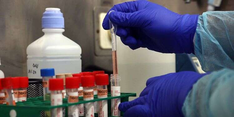 Rapid COVID tests pilot offers ray of hope for economy