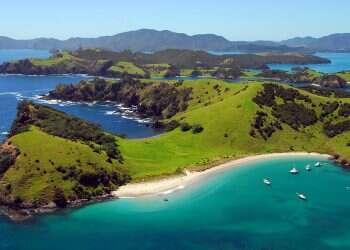 New Zealand reports first COVID case in months