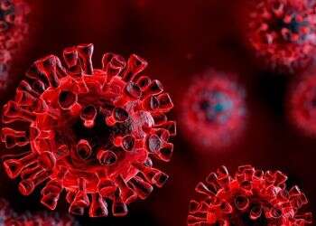 New COVID mutation discovered in Germany