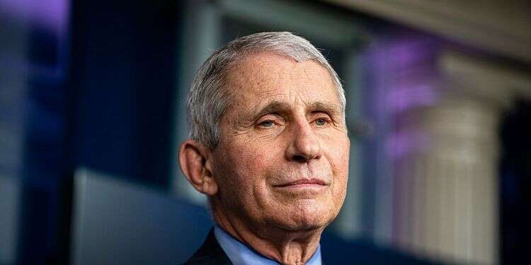 Dr. Anthony Fauci, director of the US National Institute of Allergy and Infectious Diseases Dr. Anthony Fauci wins Israel's prestigious 2021 Dan David Prize