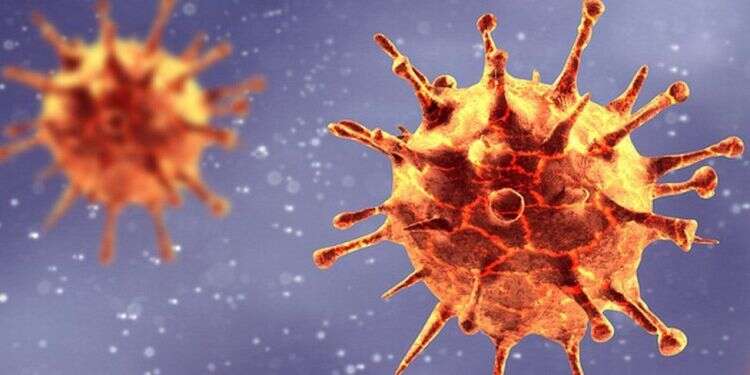 So far, six coronavirus mutations have been identified. Britain to work with Germany's CureVac on vaccines against coronavirus variants