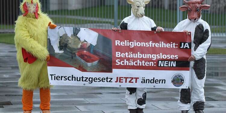 Animal rights activists dressed as a chicken, a sheep and a cow hold a banner that reads: 'Freedom Of Religion: Yes, Non-Anesthetic Ritual Slaughter: No, Change Legislation For The Protection Of Animals Now' in front of the Chancellery in Berlin, Germany on Jan. 5, 2012 Netanyahu pleads with European leaders to block kosher slaughter ban