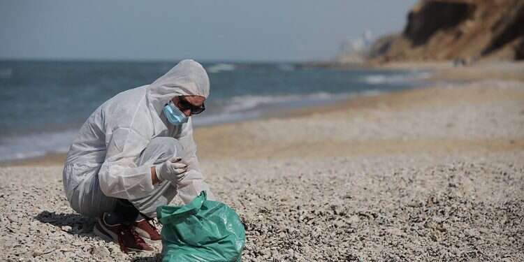 Ministers approve NIS 45M for oil spill clean up