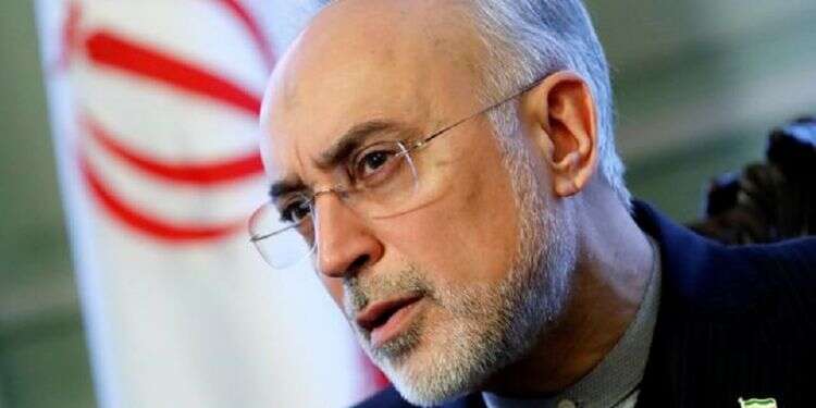 'Biden must learn from 42 years of failed US pressure on Iran'