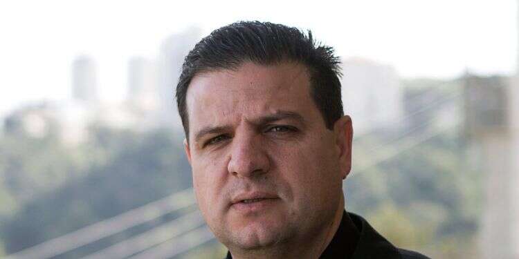 Report: Joint Arab List head received money from PLO