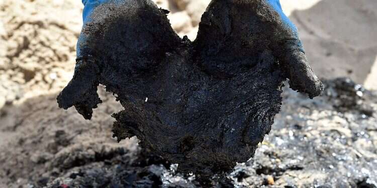 Was the spill an act of environmental terrorism? EPA/Wael Hamzeh