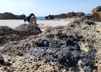 Israel's defense establishment investigating oil spill
