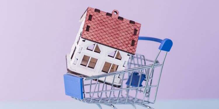 The Amazon of the real estate world