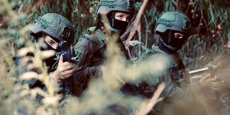 The stealth of a woman