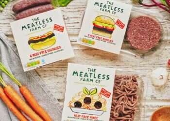 Israeli dairy giant enters sizzling alternative meat market