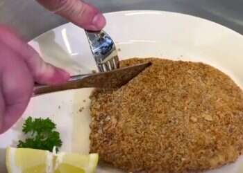 Finnish startup makes meatless schnitzel out of thin air  