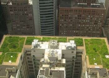 Under the same green roof