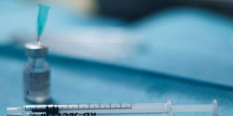 COVID vaccines could be effective for 2 years, biomedical expert says