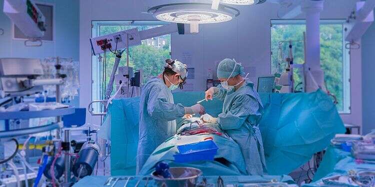 Complex surgery at Rambam saves Gazan boy's life