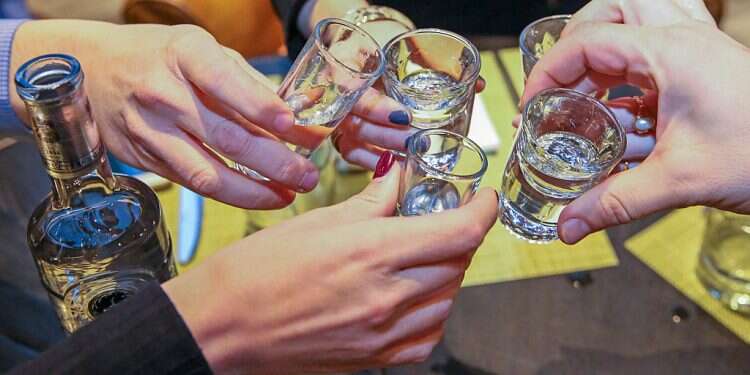 Authorities claimed people at the party drank alcohol and disrespected a Muslim commemoration (Illustrative) Iranian authorities break up mixed-gender party, arrest 16