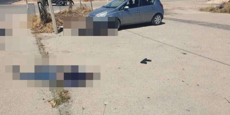 2 terrorists killed, 1 wounded by IDF troops after failed attack on Samaria base