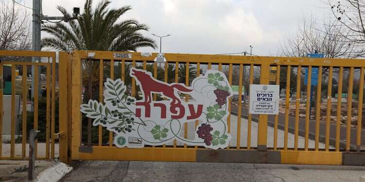 Attempted attack on IDF soldiers thwarted in Ofra