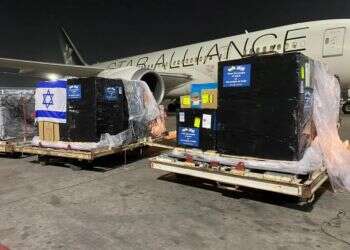 First batch of Israel's coronavirus aid arrives in India