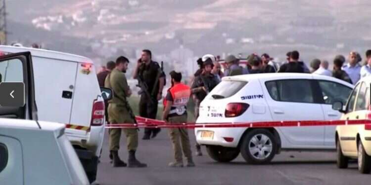 19-year-old wounded in Samaria shooting dies, terrorist apprehended