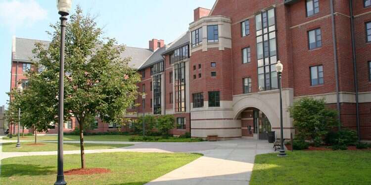 Student arrested after swastika discovered on US campus