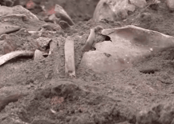 Mass grave of Holocaust victims uncovered in Logoza, Belarus