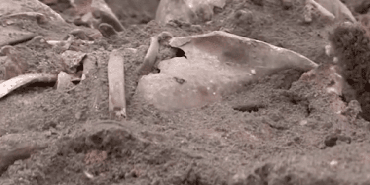A mass grave of more than 1,000 Jews shot in the head by the Nazis during World War II uncovered in Belarus in 2019 | Screenshot Mass grave of Holocaust victims uncovered in Logoza, Belarus