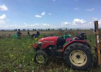 The farmers are falling through the cracks