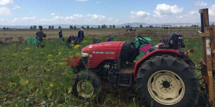 The farmers are falling through the cracks