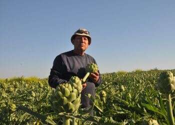 'I don't know a single Israeli who wants to work in agriculture'