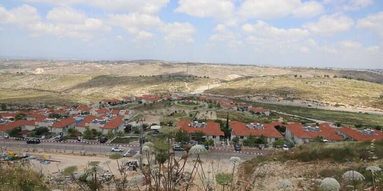 2 former Israeli ambassadors to South Africa level accusations of 'apartheid' at Israel