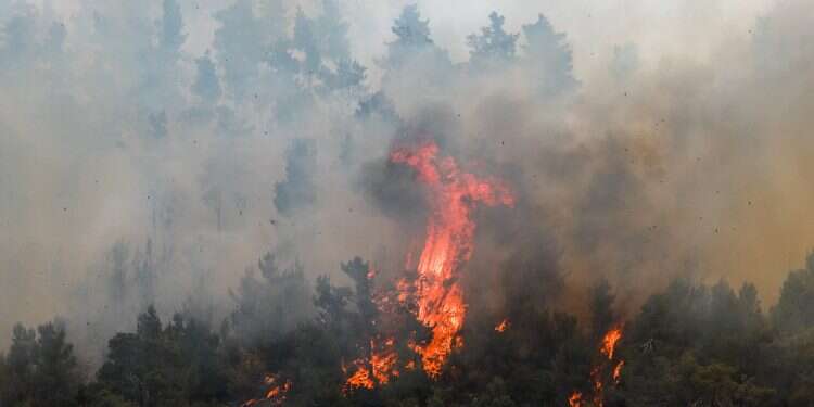 Highway 1 closed due to wildfire in Mevasseret Zion