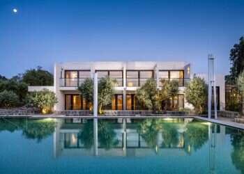 Indulgence in the wild