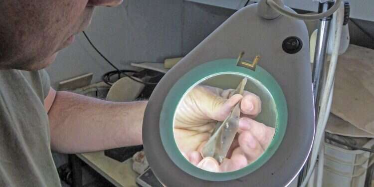 Israel Antiquities Authority prehistorian Dr. Omry Barzilai examines a flint excavated at the Boker Tachtit site in the Negev Desert Ancient coexistence: Israeli research proves Neanderthals, Homo sapiens overlapped in Negev